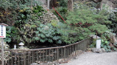 鏡花の池