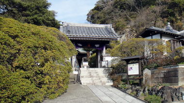 安養院