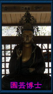 明月院の観音像