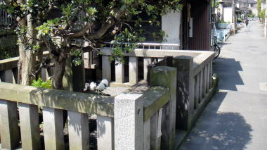日蓮乞水5