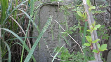琵琶橋5