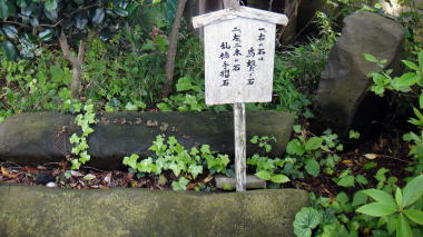 乱橋8