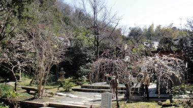 甘露ノ井11