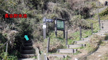 分岐1