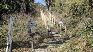 分岐2