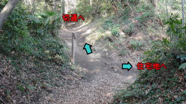 分岐3