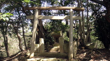 伝大江8