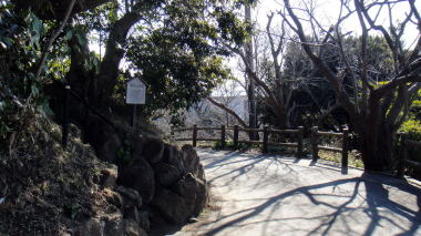 鳥居9