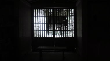 義景大明神16
