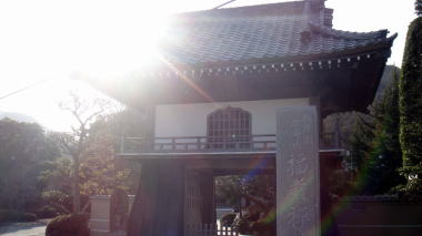 義景大明神8