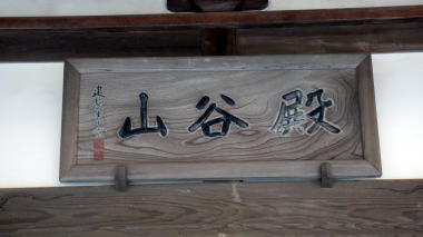 義景大明神9