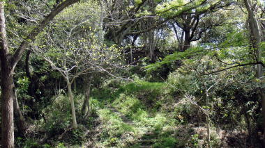 覚賢塔4