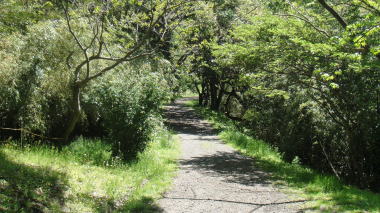 野村総研9