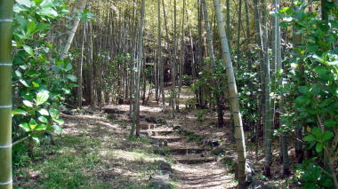 野村総研12