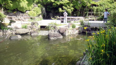 池