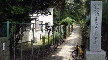 良忠墓参道
