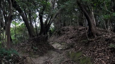 ハイキングコース