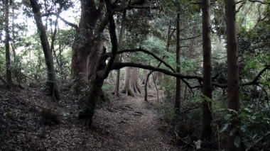 道