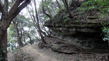 道