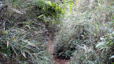 道
