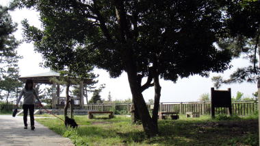 公園3段目