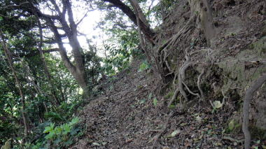 山登り1
