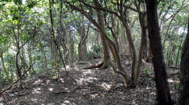山登り3