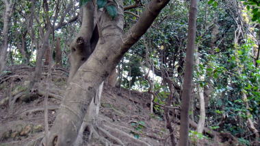 山登り2