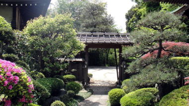 法源寺2