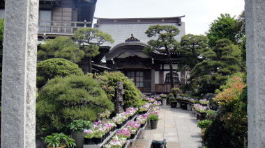 本龍寺