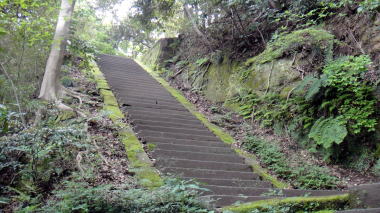 階段4