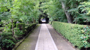 宝蓮寺参道