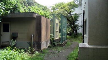 校舎裏1