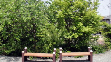 ベンチ