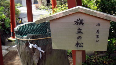 源義家公旗立の松