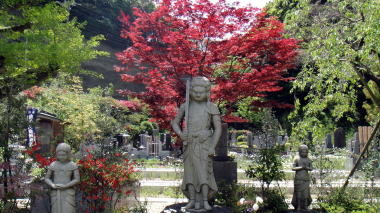 青蓮寺不動三尊1