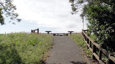 大崎公園3