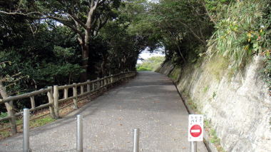 披露山公園の坂