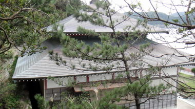 浪子不動