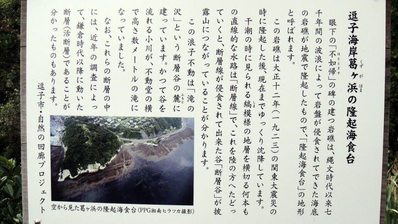 葛ヶ浜の隆起