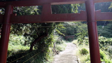 大蔵稲荷鳥居