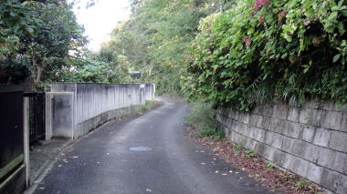 宝戒寺裏の道