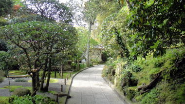 報国寺境内3