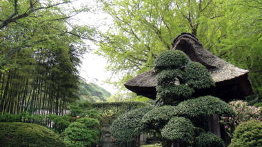 報国寺境内12
