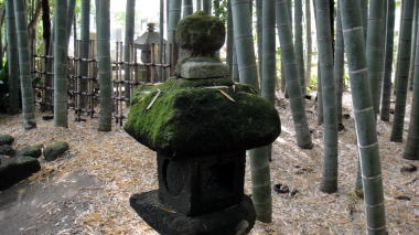 報国寺竹の庭12