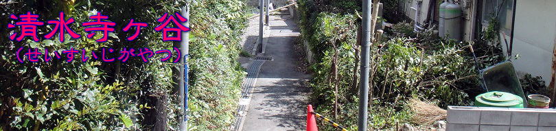 清水寺ヶ谷タイトル