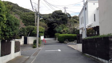 文学館への道2