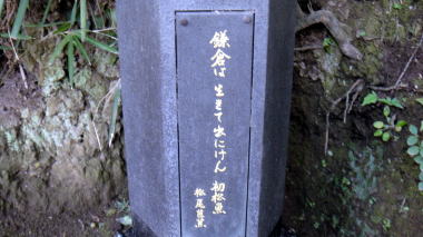 鎌倉文学館8
