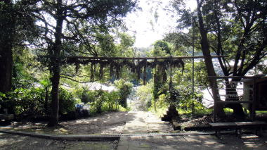 白山神社注連縄5