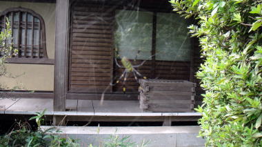 今泉寺3